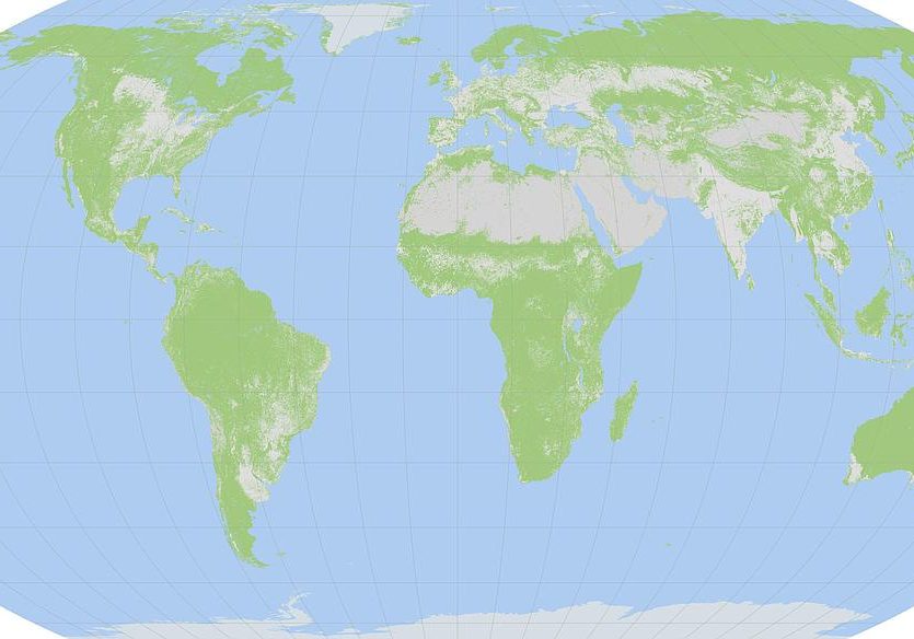 Blank landcover map of the World using Equal Earth projection.